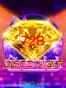 DiscoNight